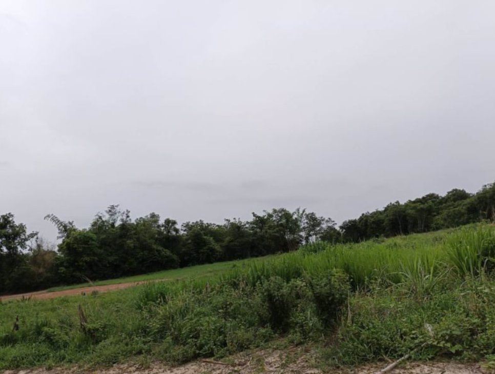 ขายที่ดิน-ติดบ้านคน-2ไร่-3งาน16ตรว