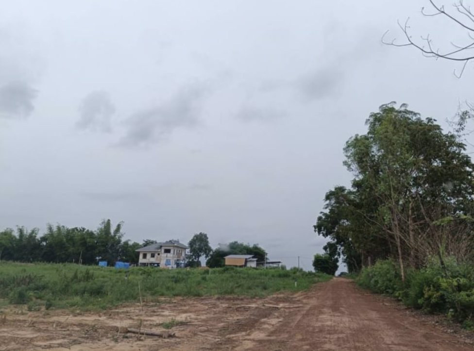 ขายที่ดิน-ติดบ้านคน-2ไร่-3งาน16ตรว