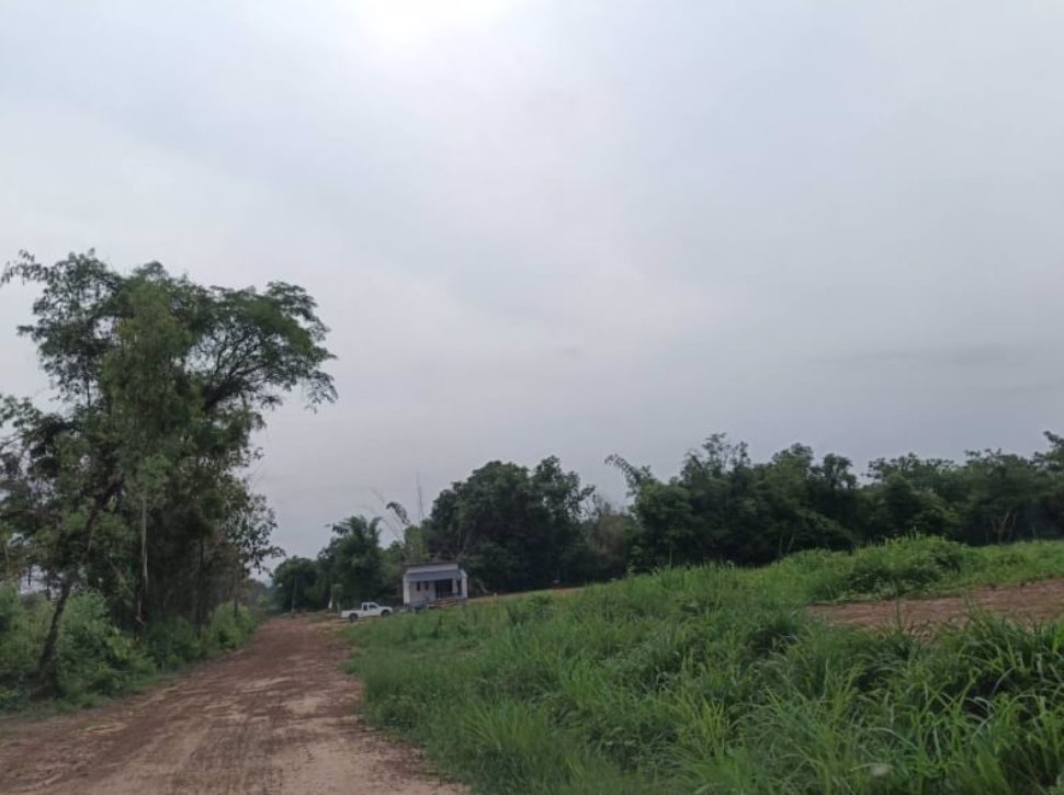 ขายที่ดิน-ติดบ้านคน-2ไร่-3งาน16ตรว