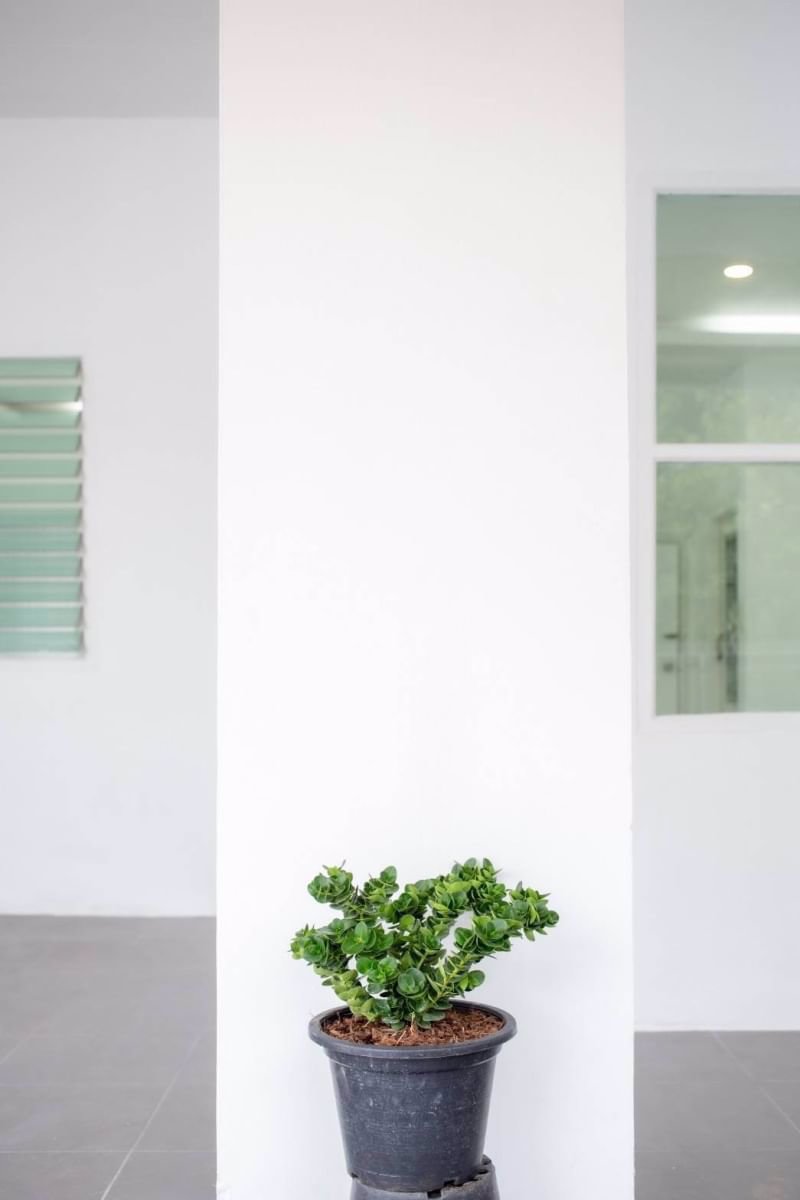 ทาวน์เฮ้าส์-2-ชั้น-ตกแต่งใหม่ทั้งหลัง-หมู่บ้านภูมิใจนิเวศน์-โครงการ-12