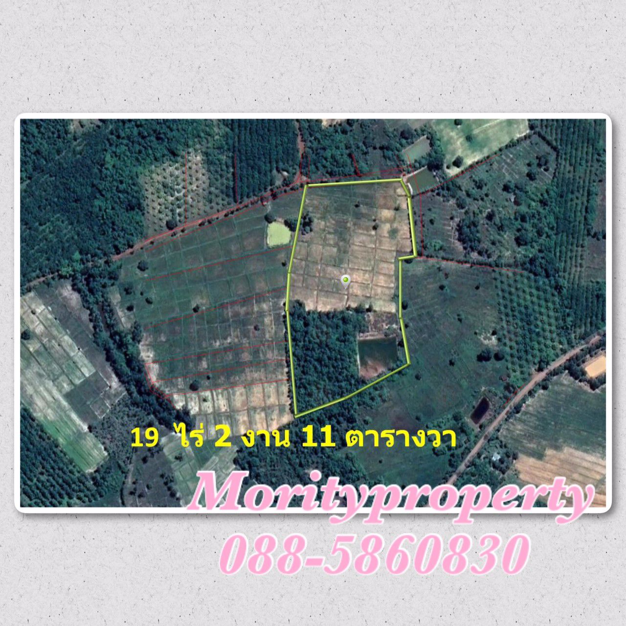 ขายที่ดิน-ตวัดหลวง-อโพนพิสัย-จหนองคาย