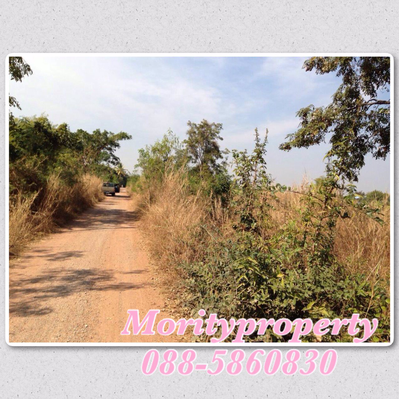 ขายที่ดิน-ตบ้านเป้า-อเกษตรสมบูรณ์-จชัยภูมิ