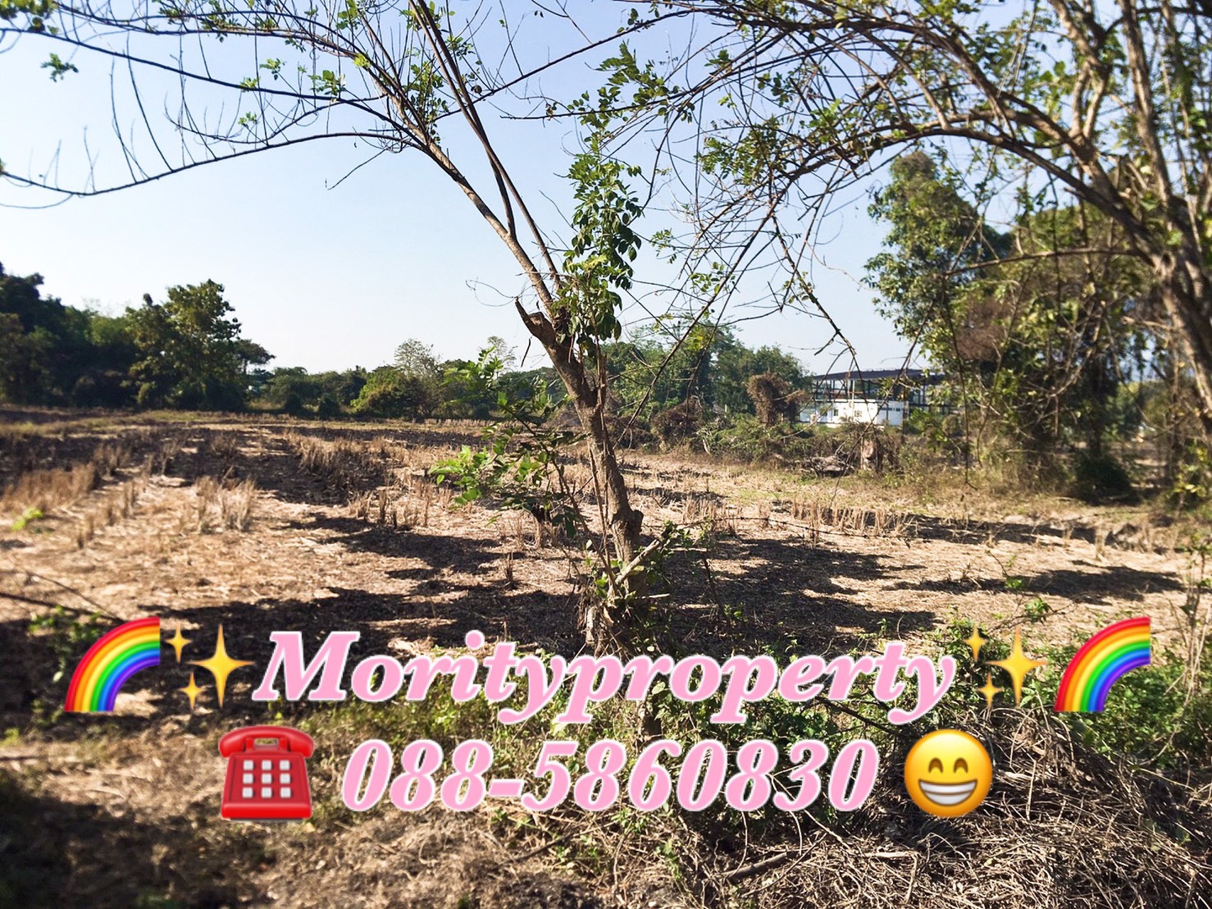 ขายที่ดินเปล่าใกล้เทศบาลตำบลหนองแหย่ง-อสันทราย-จเชียงใหม่