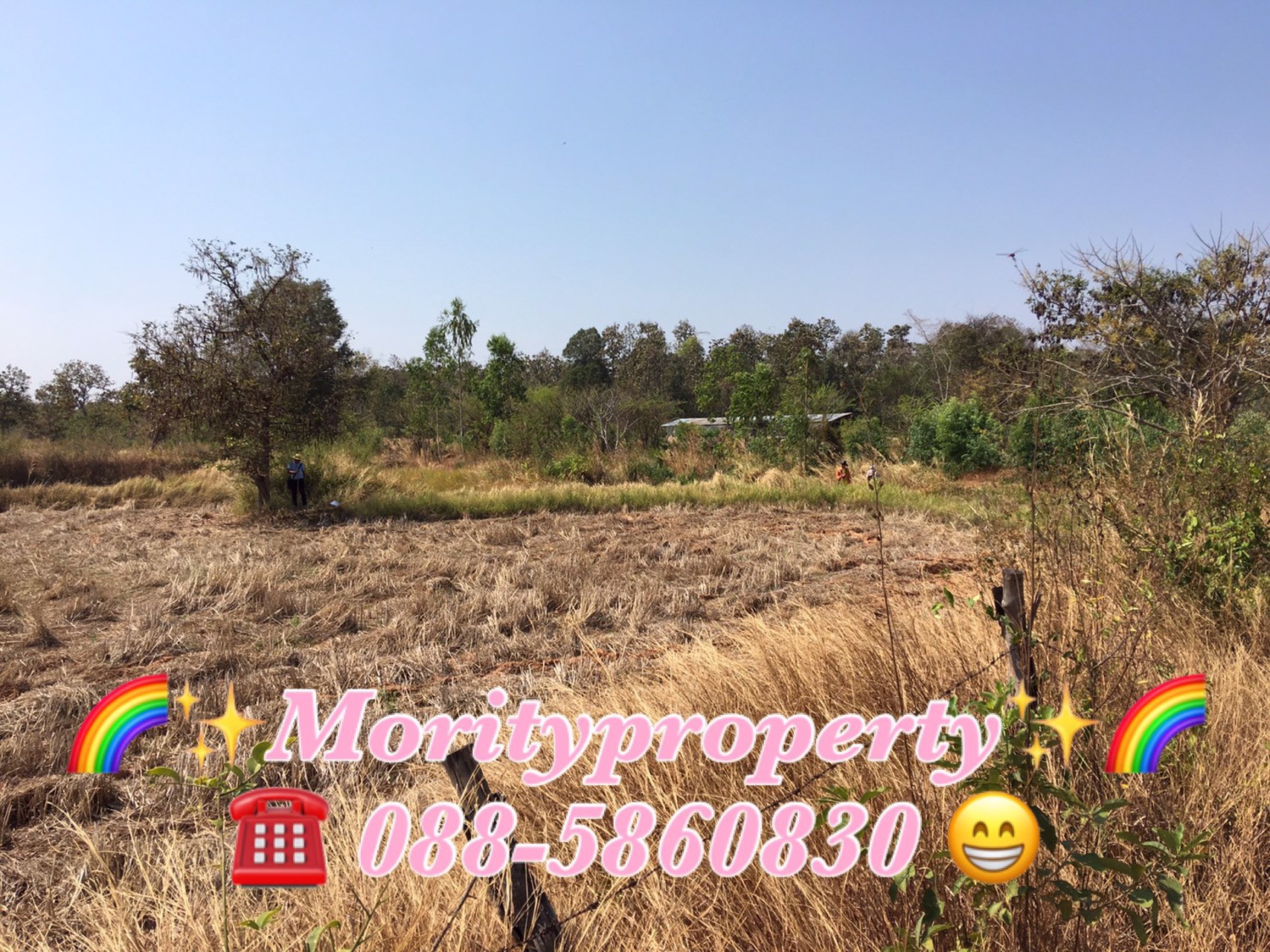 ขายที่ดิน-ตหนองช้างใหญ่-อม่วงสามสิบ-จอุบลราชธานี