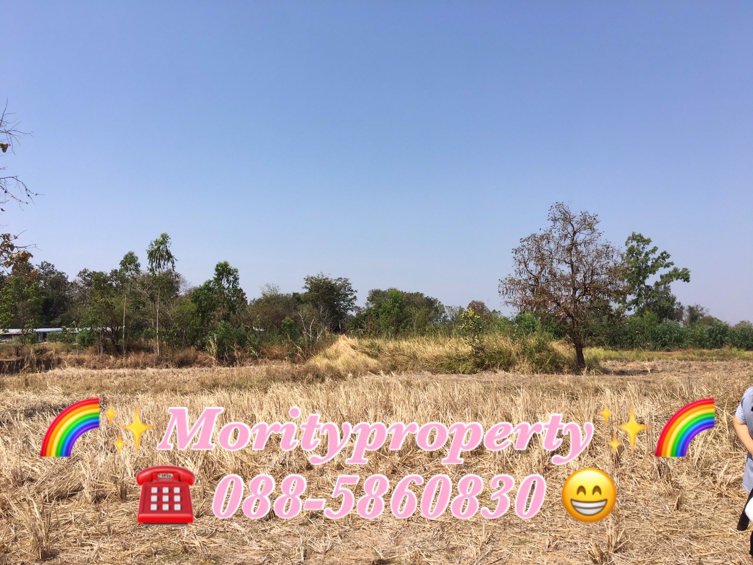 ขายที่ดิน-ตหนองช้างใหญ่-อม่วงสามสิบ-จอุบลราชธานี