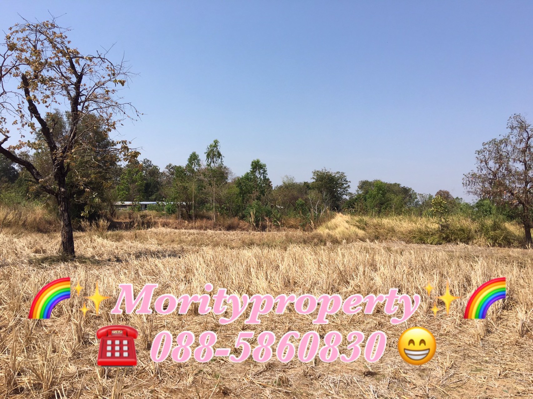 ขายที่ดิน-ตหนองช้างใหญ่-อม่วงสามสิบ-จอุบลราชธานี