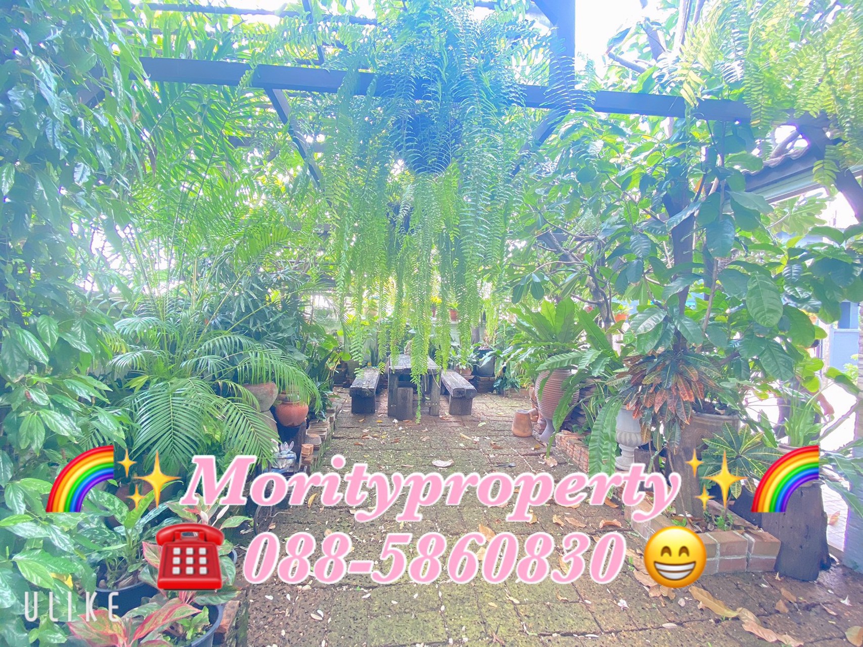 ขายบ้านเดี่ยวหมู่บ้านเสนากรีนวิลล์-คลอง-2-ใกล้สถานีรถไฟฟ้าคูคต