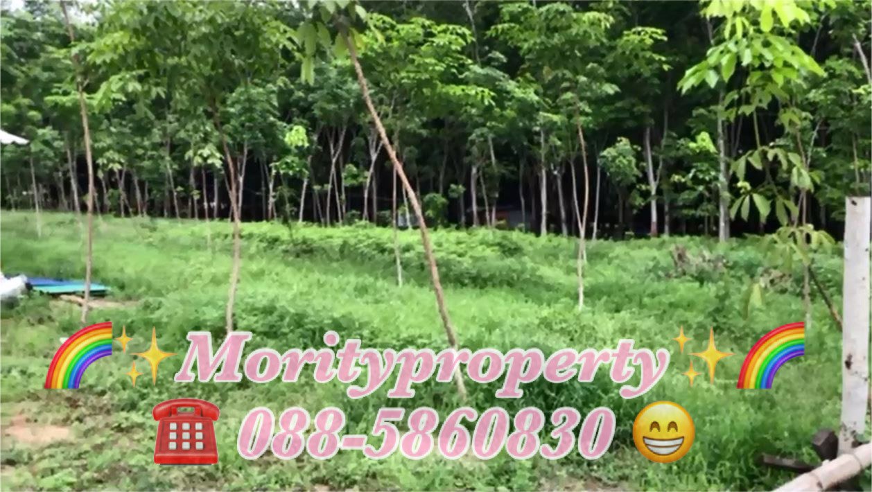 ขายที่ดิน-ตแกลง-อเมืองระยอง-จระยอง-ใกล้หาดสวนสน