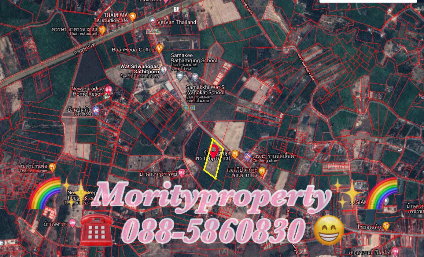 ขายที่ดิน-ตแกลง-อเมืองระยอง-จระยอง-ใกล้หาดสวนสน