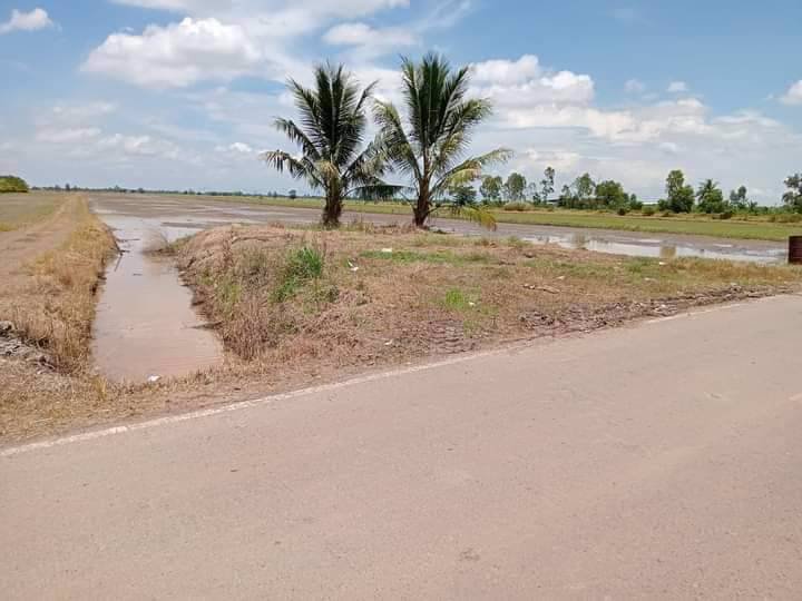 ขายด่วน-ขายถูก-ขายที่ดินแปลงสวย-เนื้อที่-46-ไร่