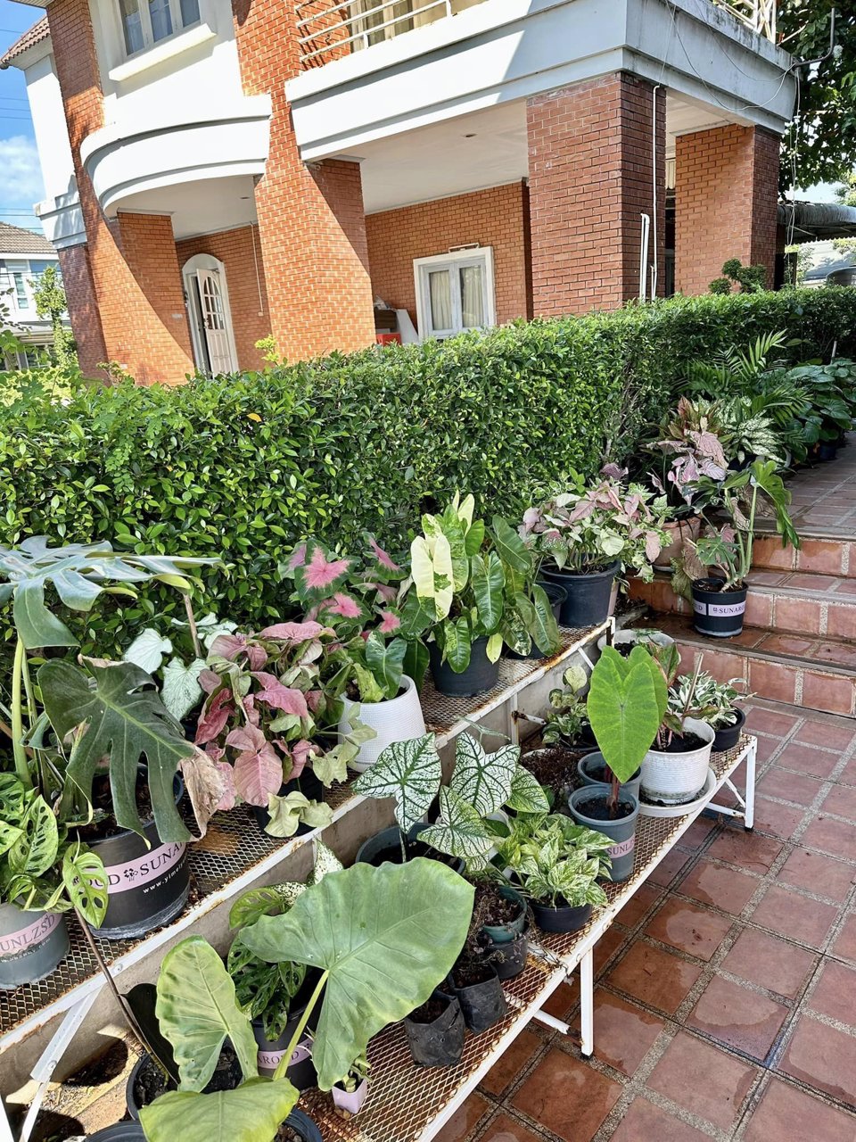 ขายด่วน-บ้าน-โกดัง-ออฟฟิศ-กฤษดานคร-19