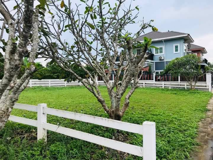 ขายที่ดินเปล่า-ในโครงการบ้านสวนกลางดง-ปากช่อง-นครราชสีมา