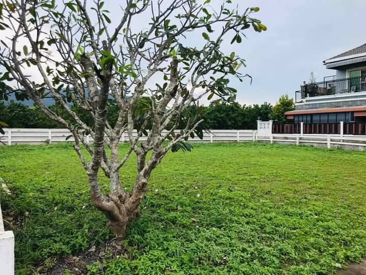 ขายที่ดินเปล่า-ในโครงการบ้านสวนกลางดง-ปากช่อง-นครราชสีมา