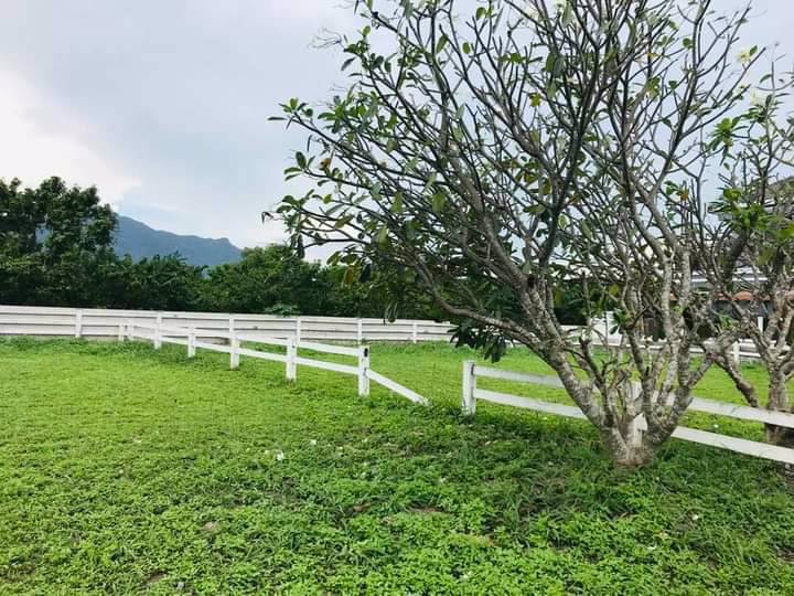 ขายที่ดินเปล่า-ในโครงการบ้านสวนกลางดง-ปากช่อง-นครราชสีมา