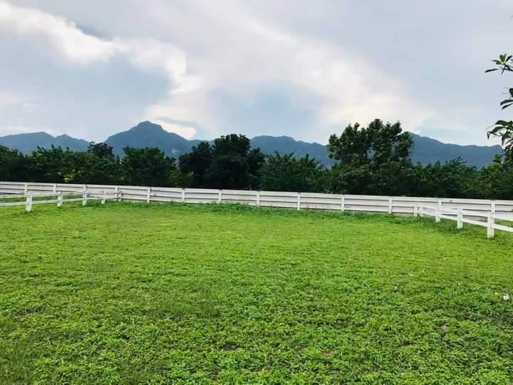 ขายที่ดินเปล่า-ในโครงการบ้านสวนกลางดง-ปากช่อง-นครราชสีมา