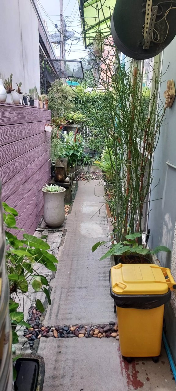 owner-โพสต์-ยินดีรับเอเจ้นท์-ขายทาวน์เฮ้าส์-2-ห้องนอน-2-ห้องน้ำ-197-ล้าน-ถูกสุดในโครงการ-แถวนี้ขา