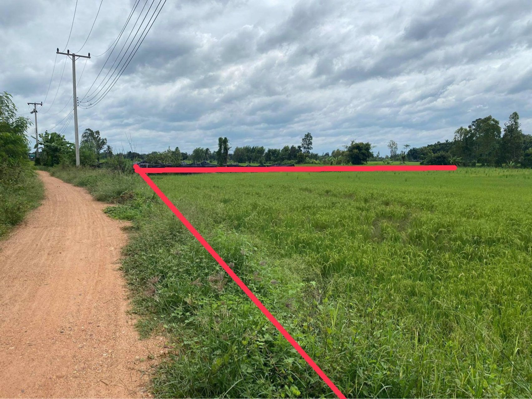 ขายที่ดิน-4-ไร่-40-ตารางวา-ราคา-ไร่ละ-440000-