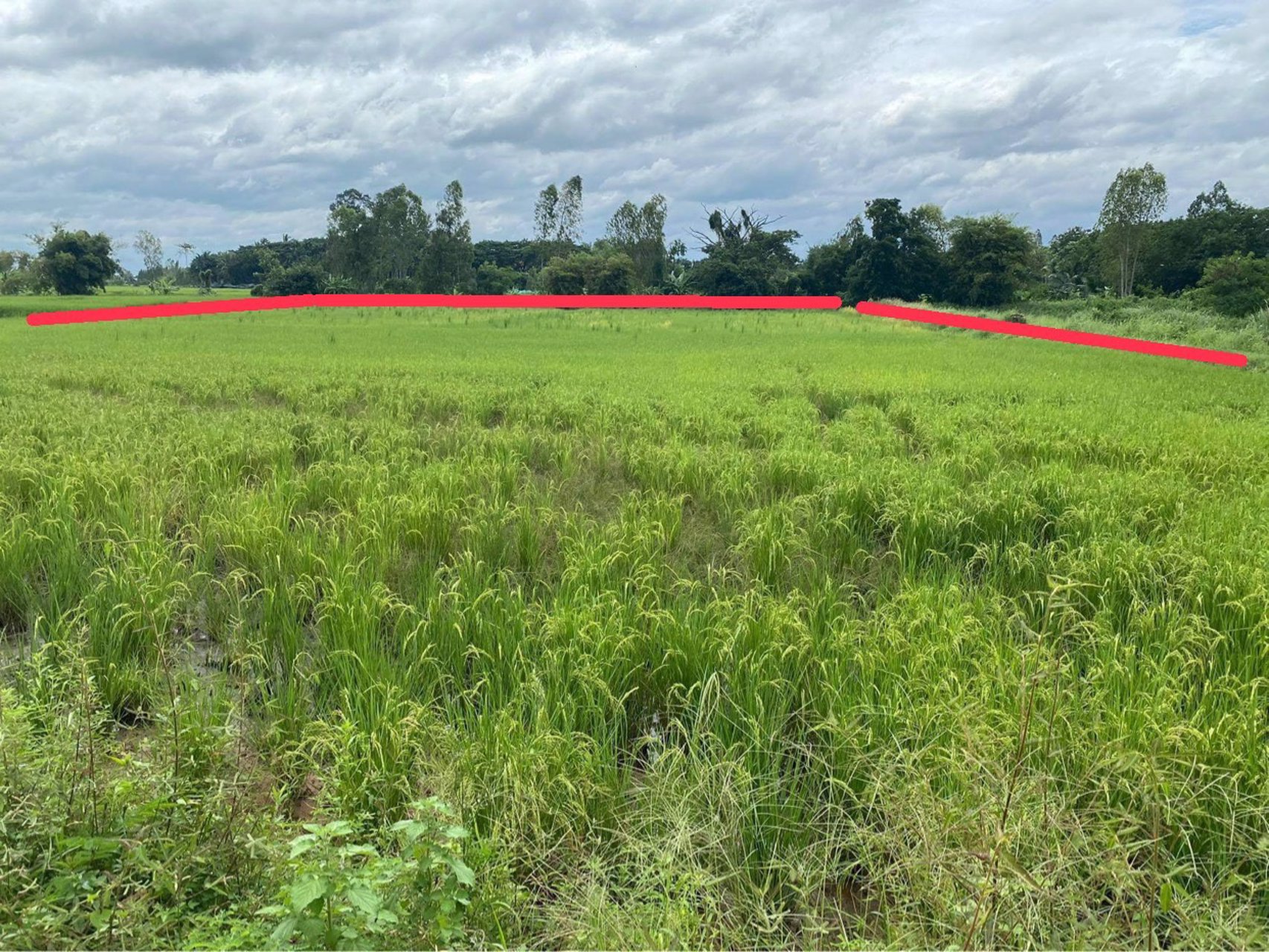 ขายที่ดิน-4-ไร่-40-ตารางวา-ราคา-ไร่ละ-440000-