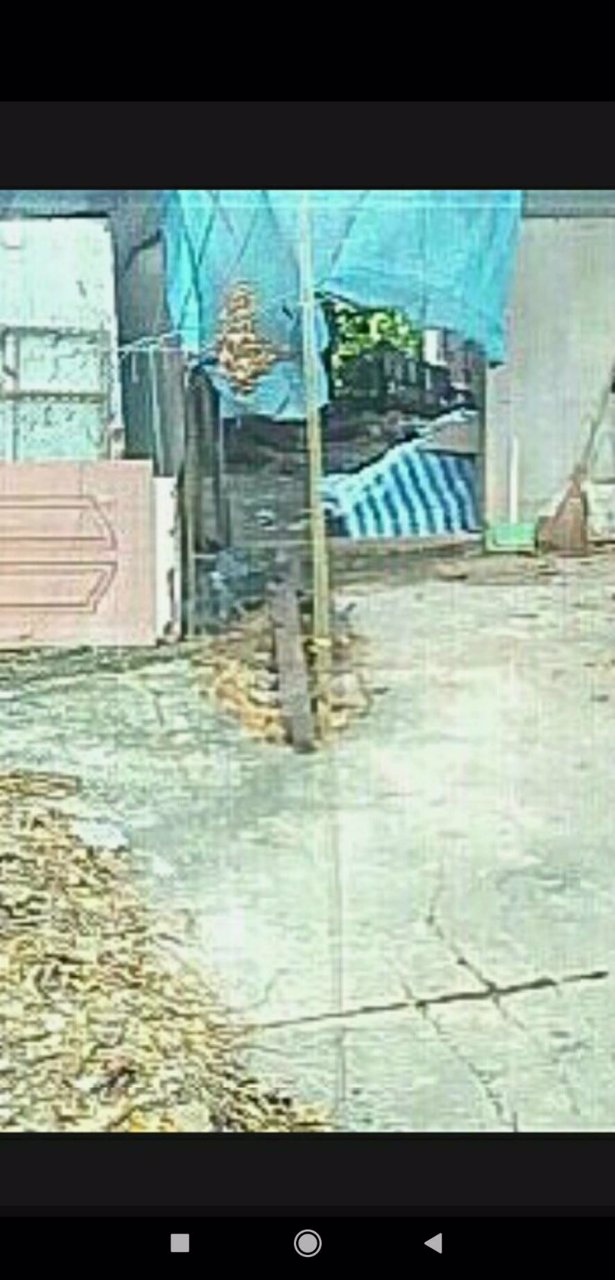 ขายบ้านและที่ดิน-70-ตารางวา-ซอยสุขสวัสดิ์-64