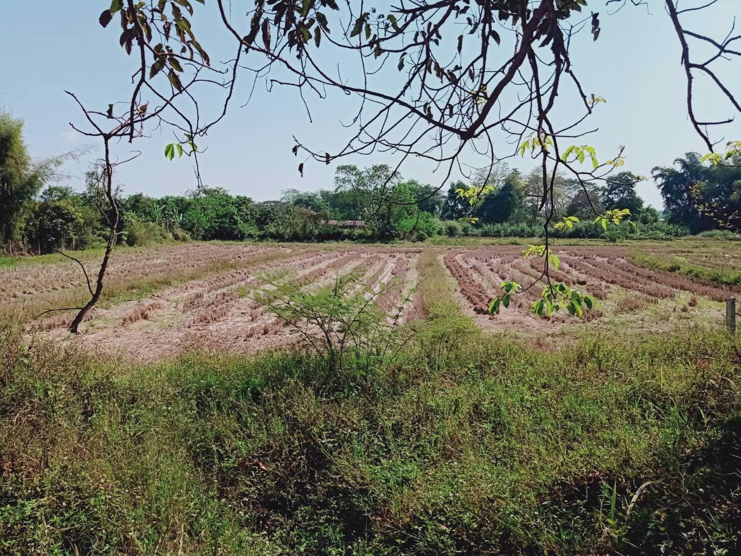 ที่ติดปั้มปตทแม่กรณ์สิงห์ปาร์คเชียงราย