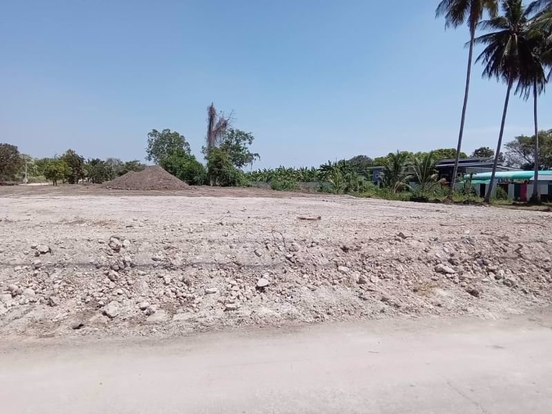 ขายที่ดินในเมือง-จตาก-เนื้อที่-100-ตรว