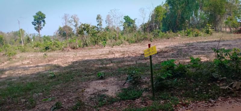 ขายบ้านพร้อมที่ดิน1ไร่