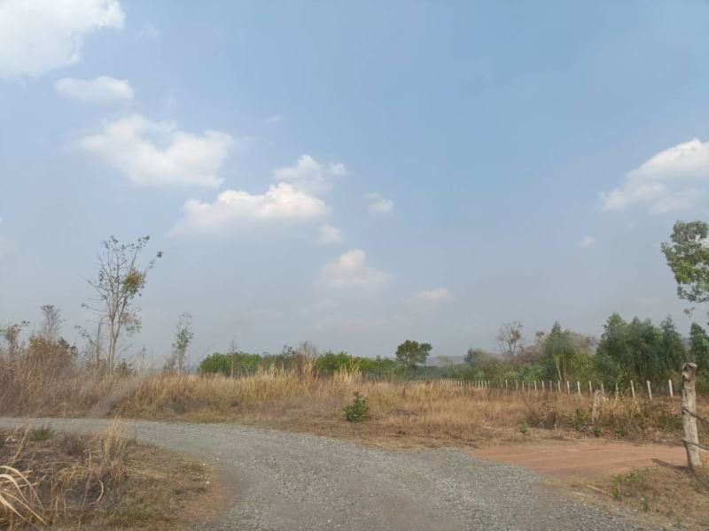 ขายที่ดิน-เงินผ่อนราคาถูกๆ-ในเมืองหนองบัวลำภู1ไร่