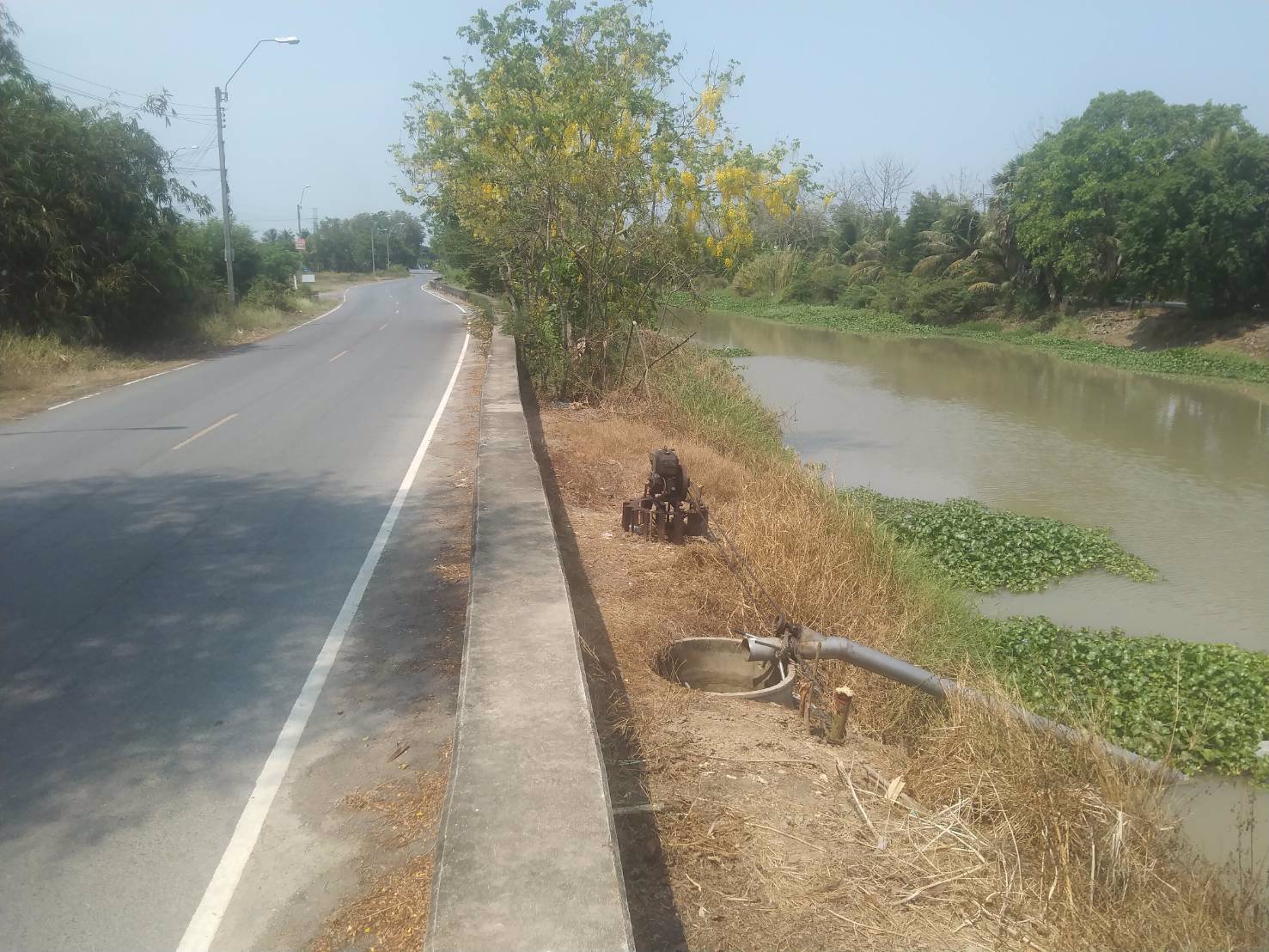 ขายที่ดิน-ติดถนนเลียบคลอง-โฉนด-นส-๔-จ-