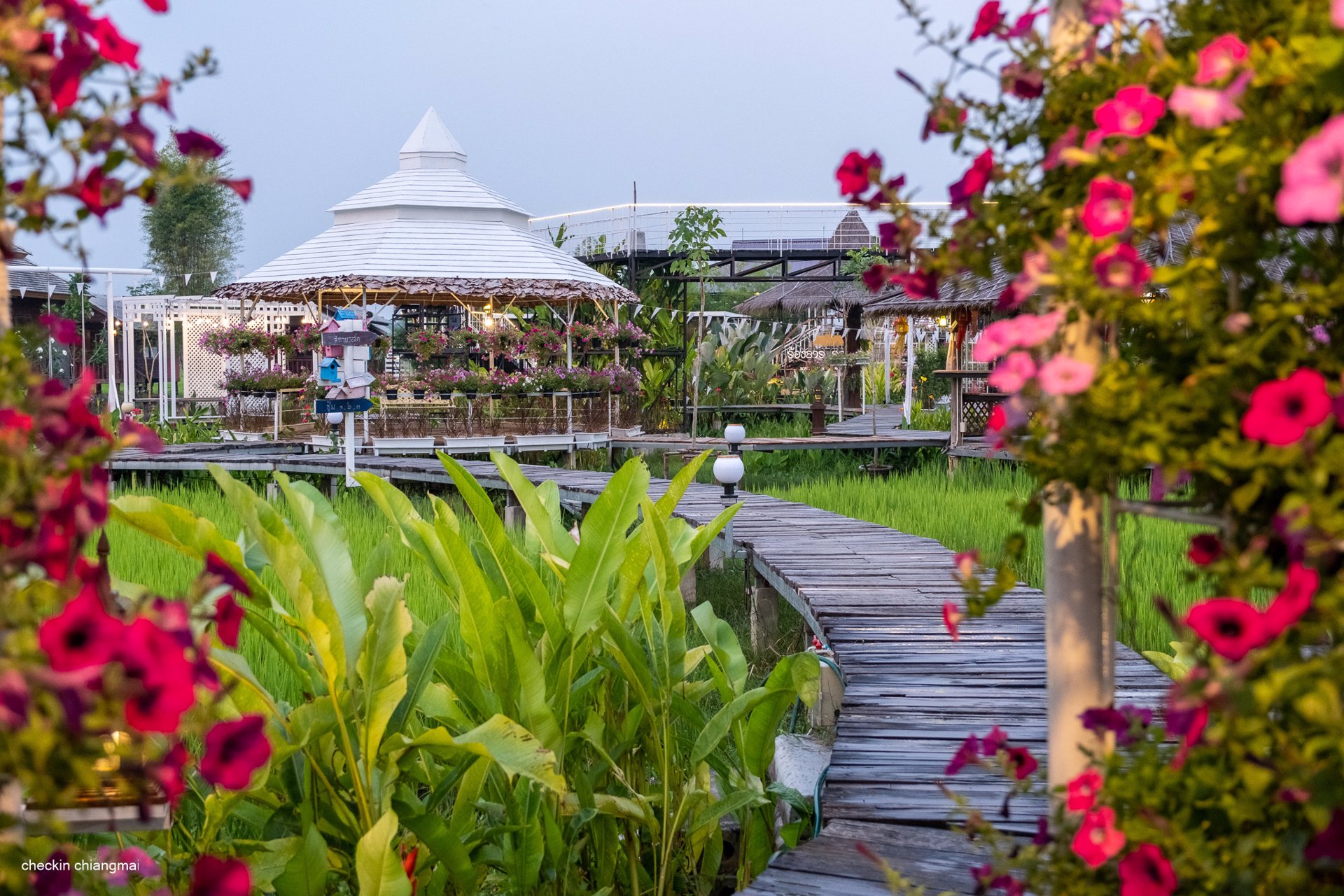 ขายด่วน-ร้องธารรวงข้าว-รีสอร์ท-เรสเตอรอง-บนพื้นที่-9-ไร่