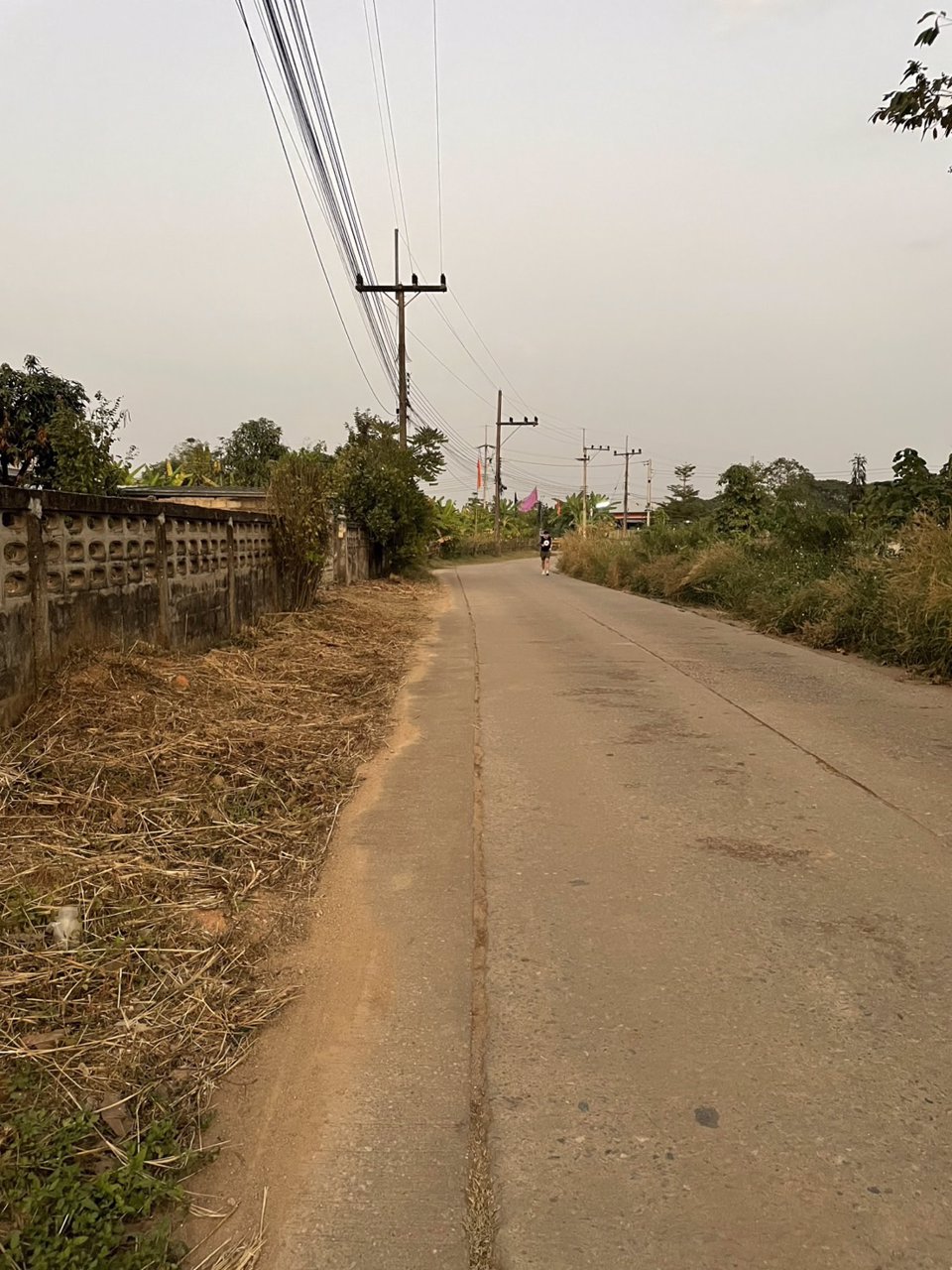 ขายที่ดินพร้อมสิ่งปลูกสร้าง-เนื้อที่-200-ตารางวา