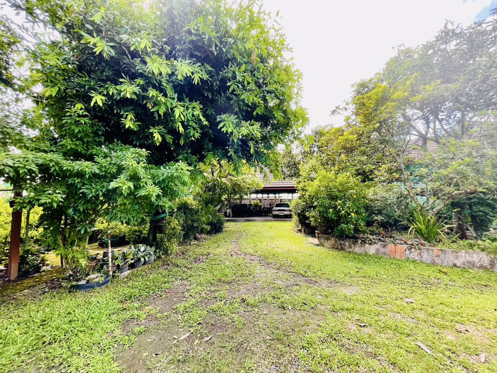 ขายที่ดินพร้อมสิ่งปลูกสร้าง-เนื้อที่-2-ไร่-1งาน-32-ตารางวา