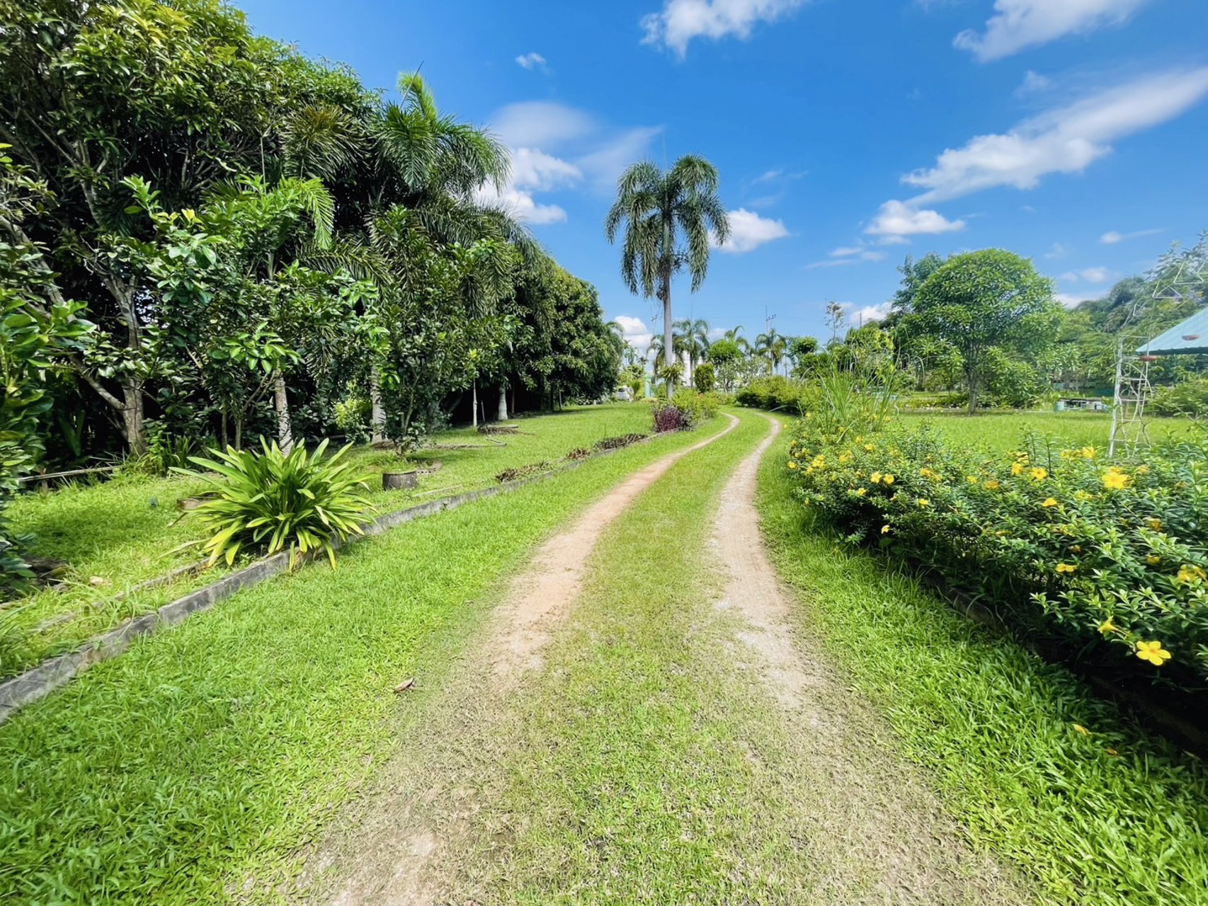 ขายที่ดินพร้อมสิ่งปลูกสร้าง-เนื้อที่-2-ไร่-1งาน-32-ตารางวา