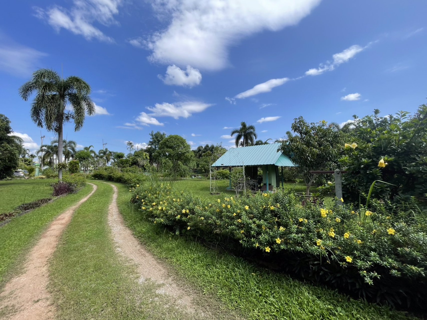 ขายที่ดินพร้อมสิ่งปลูกสร้าง-เนื้อที่-2-ไร่-1งาน-32-ตารางวา