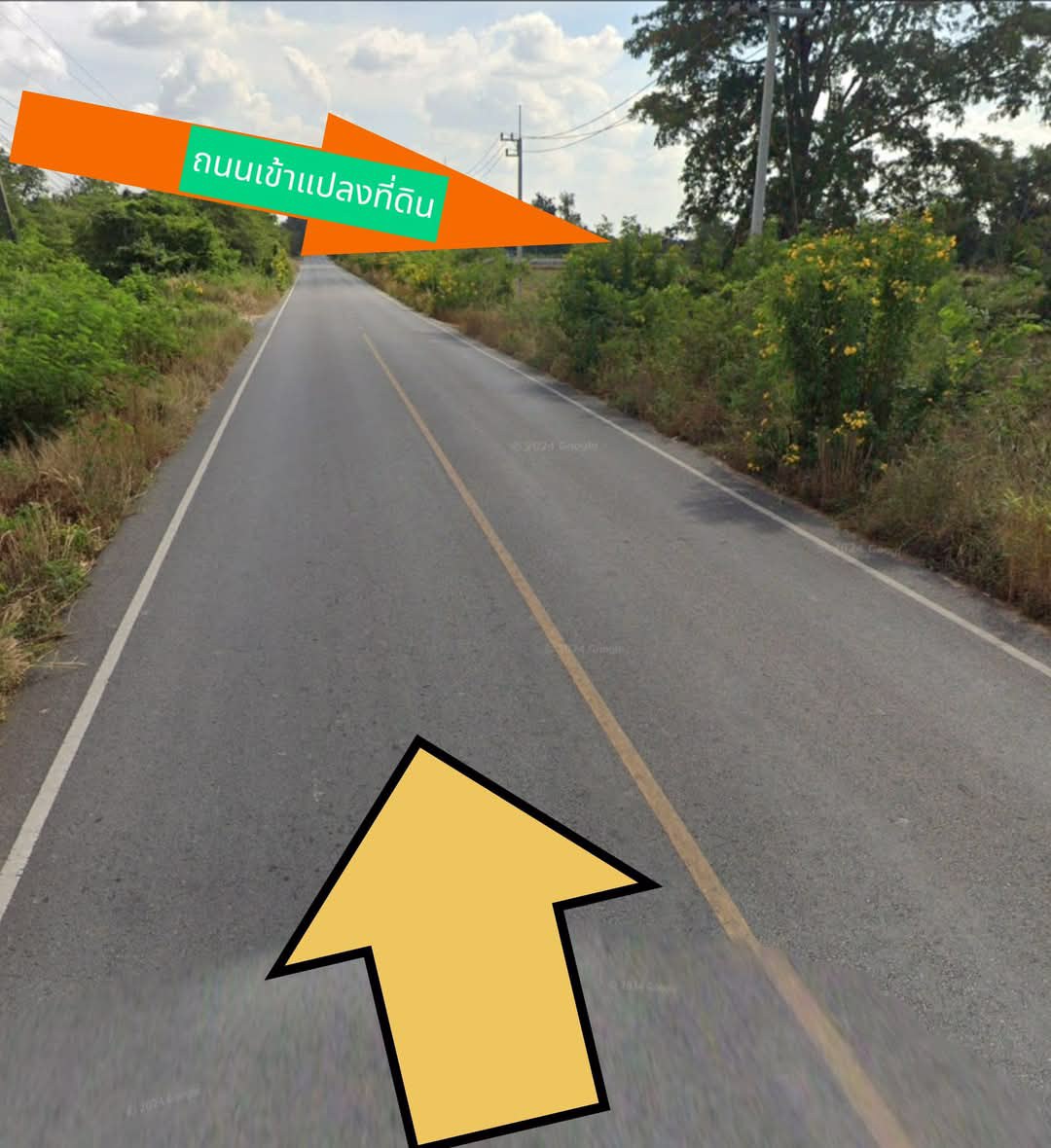 ขายที่ดินอำเภอจักราชบ้านละกอตศรีละกอ-จนครราชสีมา