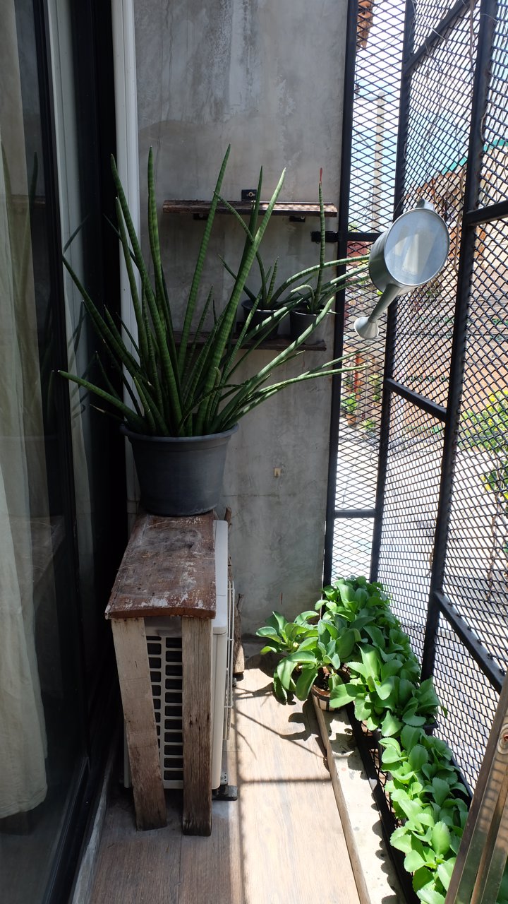 ตึกแถวให้เช่า-เจริญนคร-30