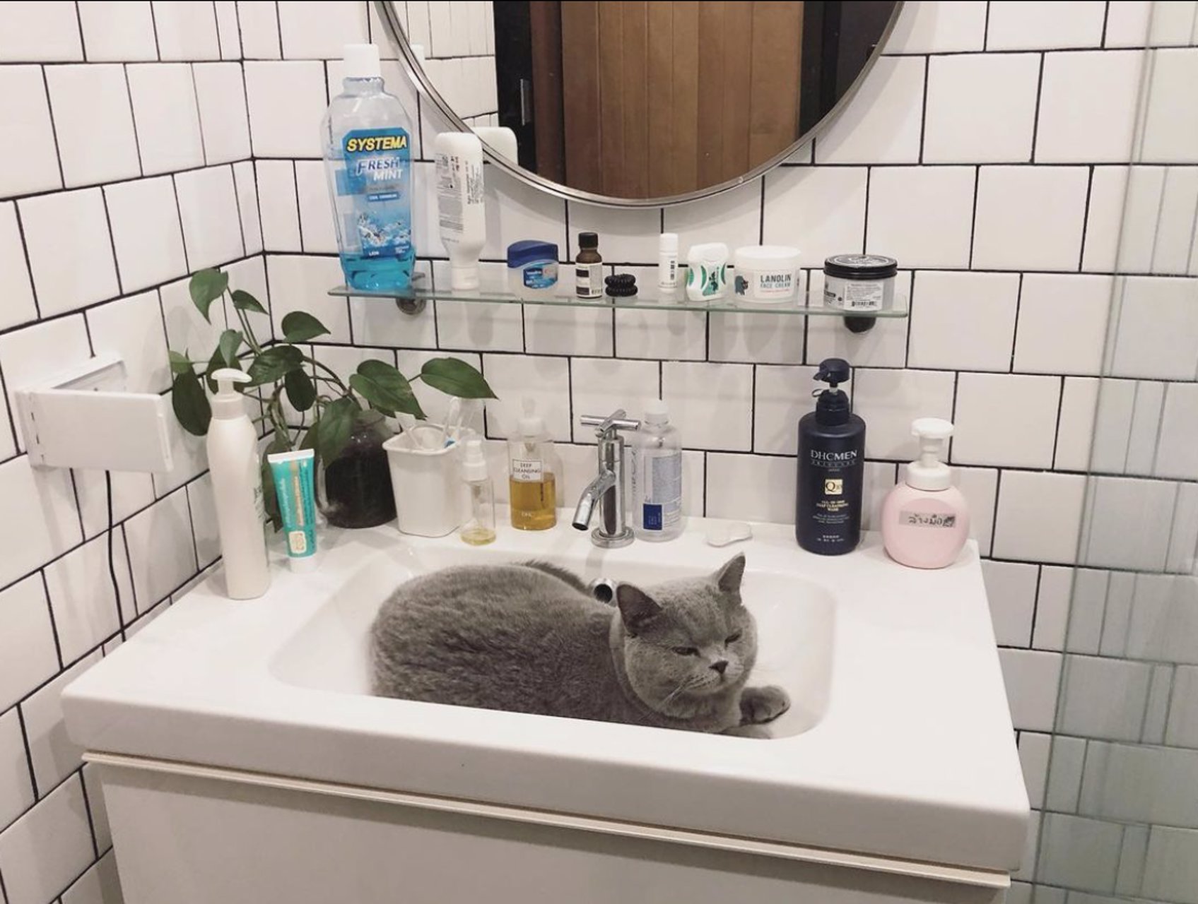 ตึกแถวให้เช่า-เจริญนคร-30