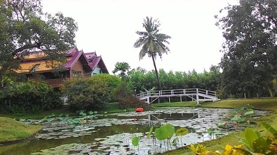 ขายที่ดินเปล่าพร้อมบ้านเย็นใจวิลล่าให้เช่าถ่ายทำหนัง-อ-คลองหลวง-ต-คลองสาม-จ-ปทุมธานี-7-1-90-ไร่