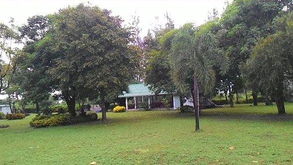 ขายที่ดินเปล่าพร้อมบ้านเย็นใจวิลล่าให้เช่าถ่ายทำหนัง-อ-คลองหลวง-ต-คลองสาม-จ-ปทุมธานี-7-1-90-ไร่