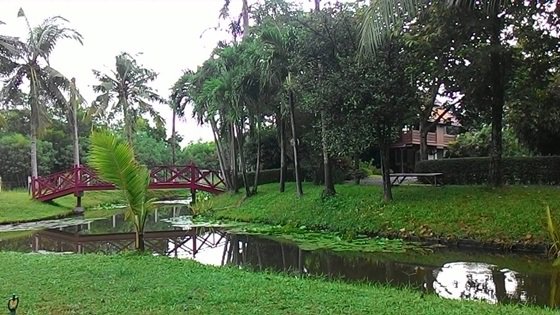 ขายที่ดินเปล่าพร้อมบ้านเย็นใจวิลล่าให้เช่าถ่ายทำหนัง-อ-คลองหลวง-ต-คลองสาม-จ-ปทุมธานี-7-1-90-ไร่