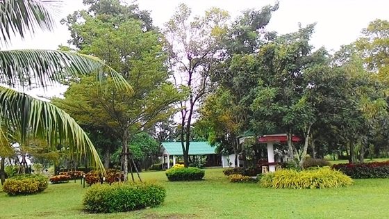 ขายที่ดินเปล่าพร้อมบ้านเย็นใจวิลล่าให้เช่าถ่ายทำหนัง-อ-คลองหลวง-ต-คลองสาม-จ-ปทุมธานี-7-1-90-ไร่