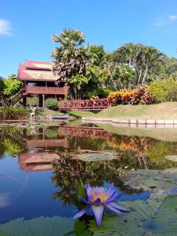 ขายที่ดินเปล่าพร้อมบ้านเย็นใจวิลล่าให้เช่าถ่ายทำหนัง-อ-คลองหลวง-ต-คลองสาม-จ-ปทุมธานี-7-1-90-ไร่