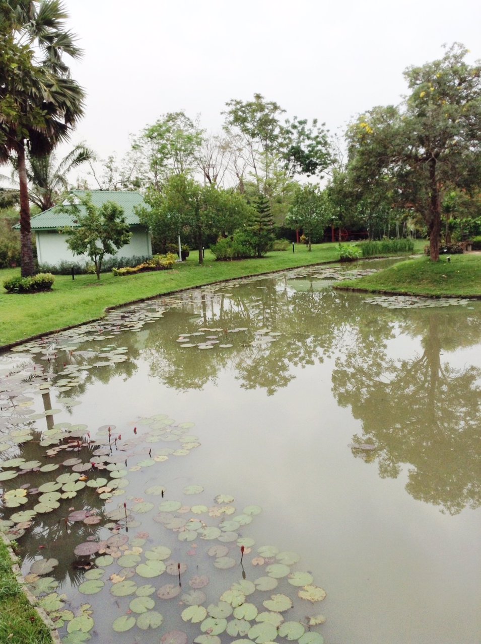 ขายที่ดินเปล่าพร้อมบ้านเย็นใจวิลล่าให้เช่าถ่ายทำหนัง-อ-คลองหลวง-ต-คลองสาม-จ-ปทุมธานี-7-1-90-ไร่