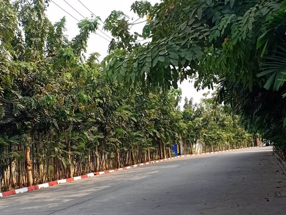 ขายทาวน์เฮ้าส์-2-ชั้น-21-ตร-ว-หมู่บ้านซิตี้เซนส์-รามอินทรา109-ซอยพระยาสุเรนทร์30-ถรามอินทรา-05264