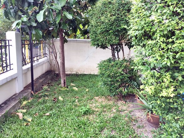 ขายบ้านเดี่ยว-หมู่บ้านธารารมณ์-พาร์คเวย์-รามคำแหง-150-ราษฏร์พัฒนา-เข้าอยู่ได้ทันที-51-ตรว-05281