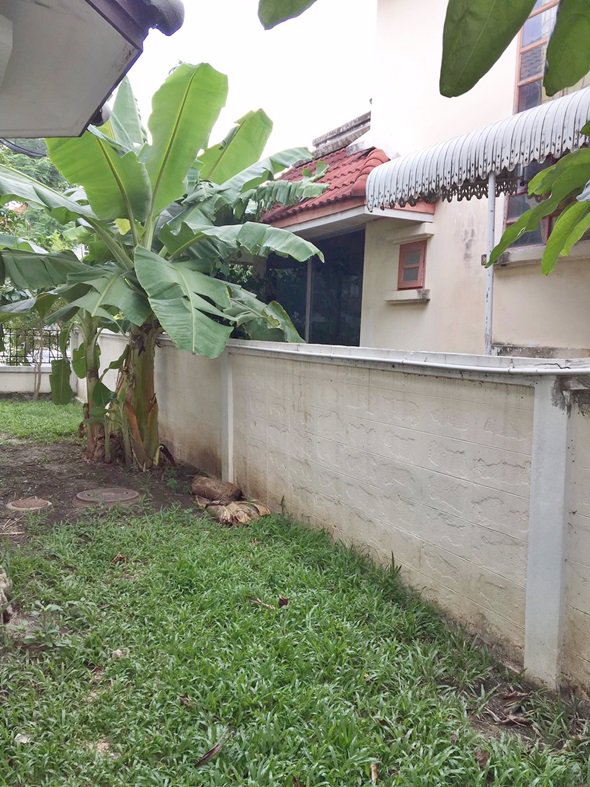 ขายบ้านเดี่ยว-หมู่บ้านธารารมณ์-พาร์คเวย์-รามคำแหง-150-ราษฏร์พัฒนา-เข้าอยู่ได้ทันที-51-ตรว-05281