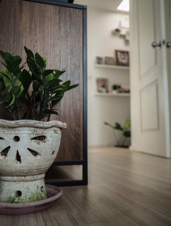 ขายทาวน์โฮม-เนอวานา-คัฟเวอร์-อ่อนนุช-18-ตรว-ซอยอ่อนนุช-65-เขตประเวศ-ใกล้-maxvalu-ตกเเต่งสวย-05292