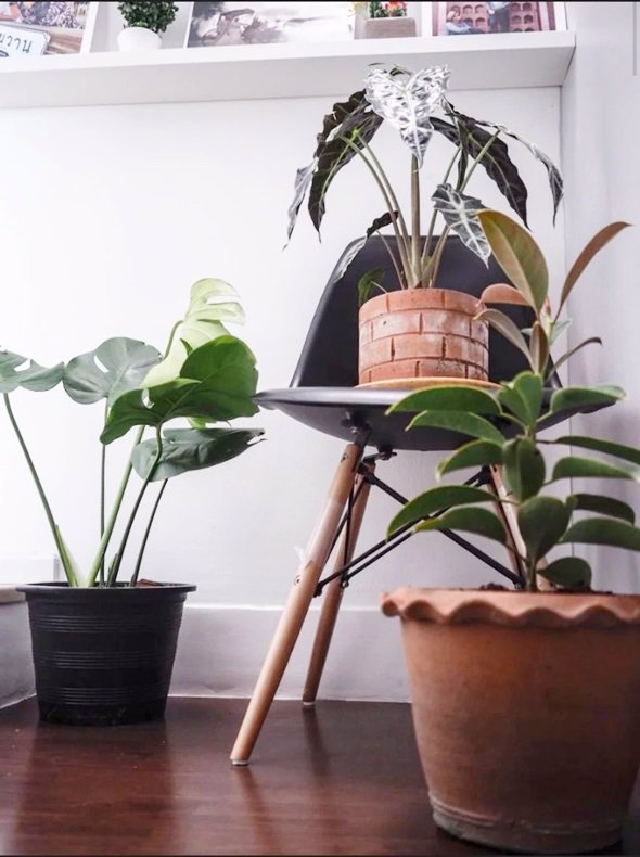 ขายทาวน์โฮม-เนอวานา-คัฟเวอร์-อ่อนนุช-18-ตรว-ซอยอ่อนนุช-65-เขตประเวศ-ใกล้-maxvalu-ตกเเต่งสวย-05292