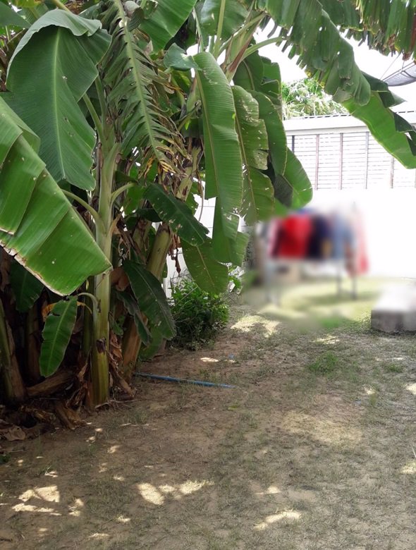 ขายบ้านเดี่ยว-2-ชั้น-มประภาทรัพย์-เนื้อที่-502-ตารางวา-ถหทัยราษฎร์39-เลียบคลองสอง-พร้อมอยู่-05305