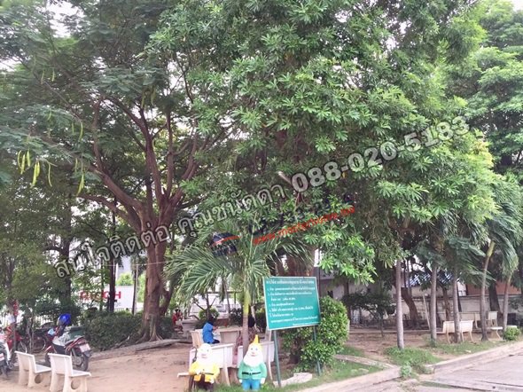 ขายคอนโด-พร้อมผู้เช่า-พฤกษาธานี-คอนโดเทล-pluksa-thani-condotel-อ่อนนุช-55-2-รหัส-05306