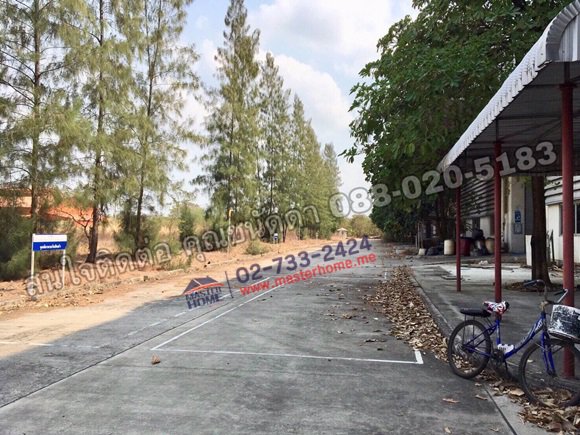 ขายโรงงาน-219-ไร่ถสายบ้านใหม่-บางควาย-บางปะกง-อบางโพธิ์-จฉะเชิงเทรา-ใกล้มอเตอร์เวย์-05307